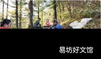 松塔里的松子怎么吃 松塔怎么取出松子