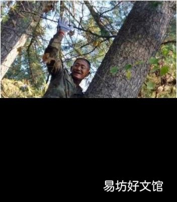 松塔里的松子怎么吃 松塔怎么取出松子