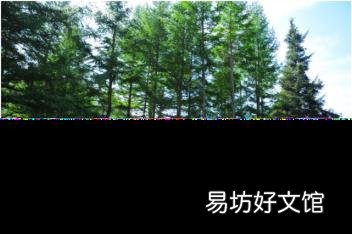 松塔里的松子怎么吃 松塔怎么取出松子