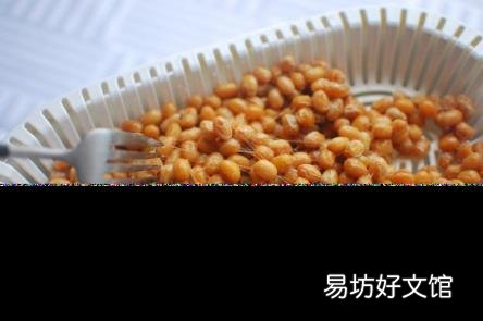 纳豆的制作过程 纳豆怎么做