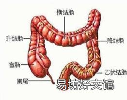 一到下午肚子就胀气放屁 肚子胀气怎么办老放屁