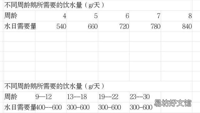 鹅的饮水量是采食量的几倍？有何依据？