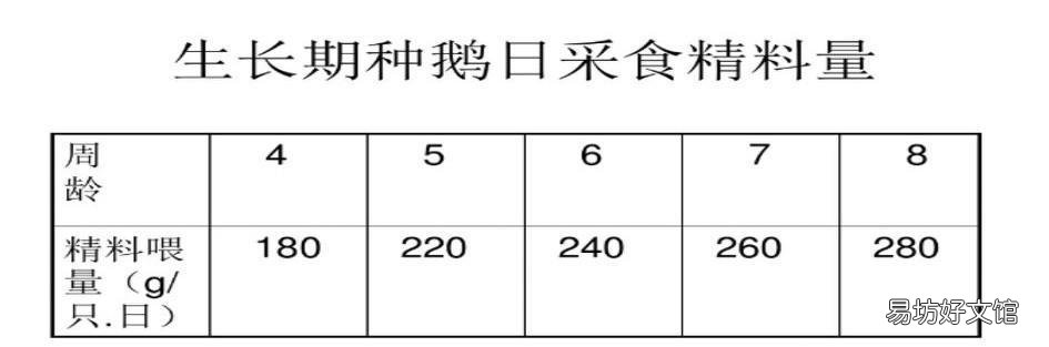 鹅的饮水量是采食量的几倍？有何依据？