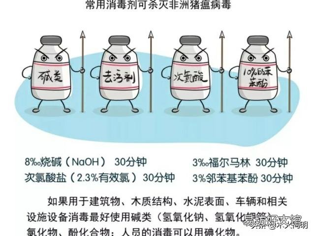 散养户非瘟下怎么复养?有什么建议?