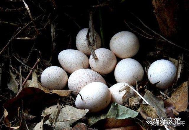 原生态农业还要不要坚持？为什么？