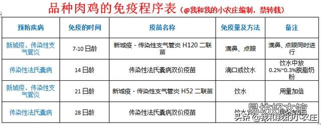 养鸡,疫苗拌料有用吗?为什么?