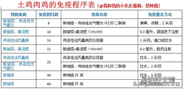 养鸡,疫苗拌料有用吗?为什么?