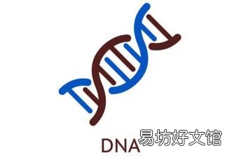 施巴洗发水好用吗 施巴怎么样
