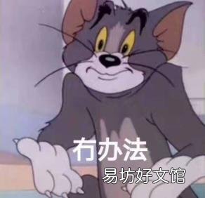 施巴洗发水好用吗 施巴怎么样