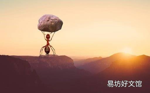满分作文《蚍蜉撼树》 上海满分作文