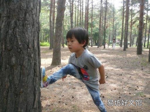 满分作文《蚍蜉撼树》 上海满分作文