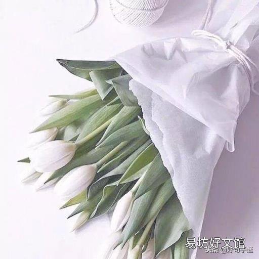 适合发说说的短句 最新签名发布