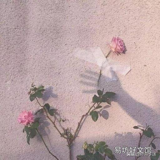 适合发说说的短句 最新签名发布
