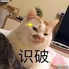 千万别在京东金条借钱 京东白条怎么样