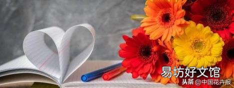 总送鲜花谁不腻 教师节给老师送什么花