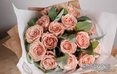 总送鲜花谁不腻 教师节给老师送什么花
