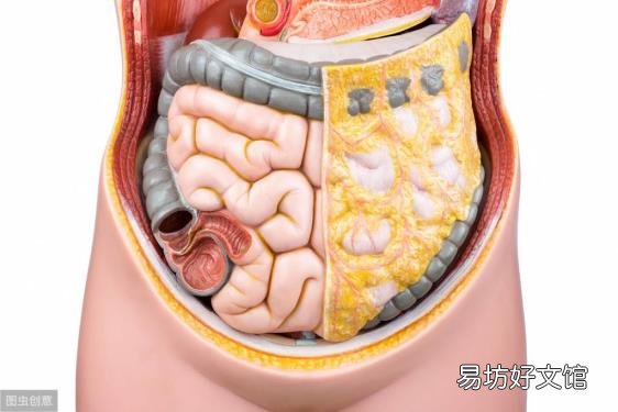 喝什么茶减内脏脂肪最快 内脏脂肪怎么减