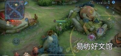 小乔怎么玩 妲己怎么玩