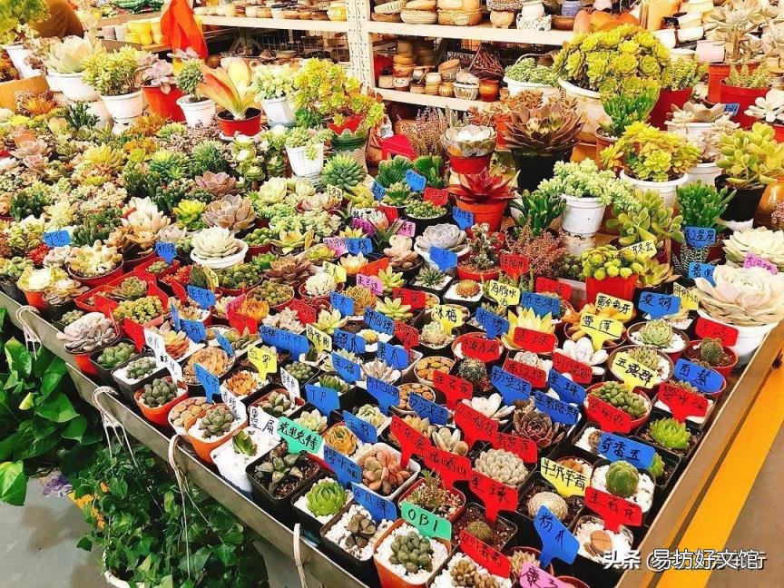 昆明三天自助游攻略 昆明自助游