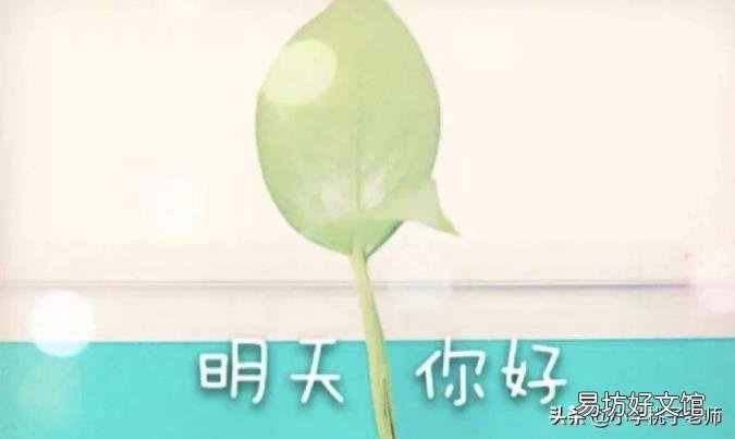 小学生一篇“荷包蛋”课外阅读题 荷包蛋阅读答案