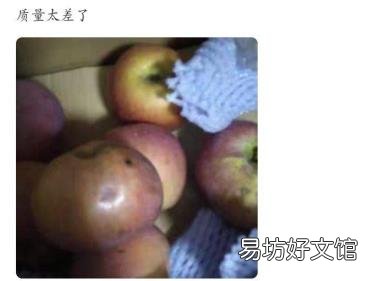 12315退款支招 网上买到假货怎么投诉