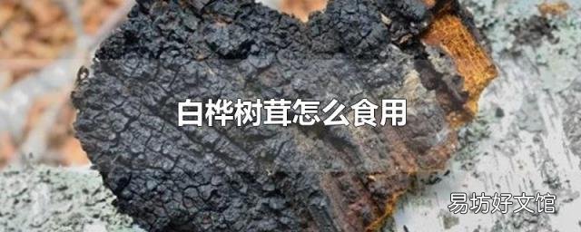 白桦树茸怎么食用