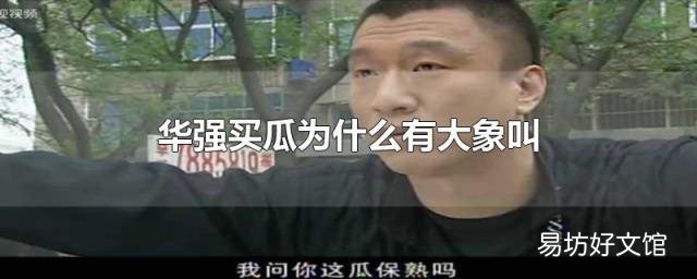 华强买瓜为什么有大象叫