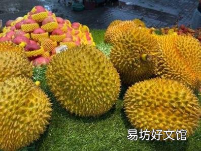 杭州榴莲多少钱一斤 一个榴莲多少钱