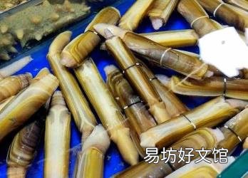 女人吃蛏子有什么禁忌 蛏子多少钱一斤