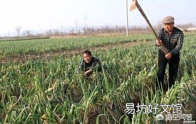 你们当地农村有靠养殖发家的吗？养殖什么前景较好？