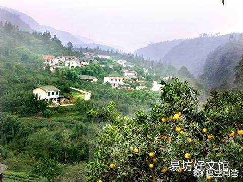 你们当地农村有靠养殖发家的吗？养殖什么前景较好？