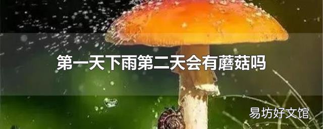 第一天下雨第二天会有蘑菇吗