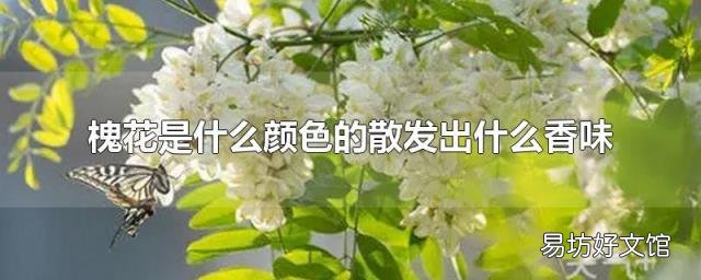 槐花是什么顏色的散發出什么香味