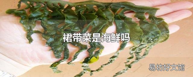 裙带菜是海鲜吗