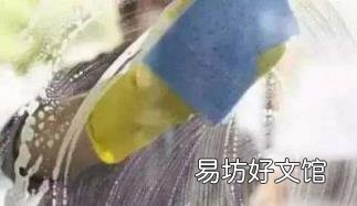 怎樣擦玻璃更干凈 擦玻璃小竅門