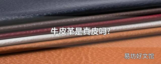 牛皮革是真皮吗?