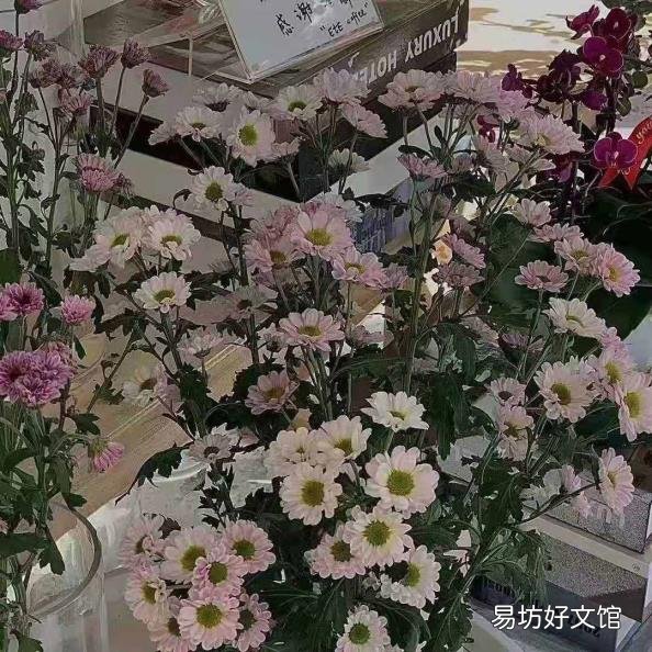 对老公心寒绝望的句子 如人饮水 冷暖自知