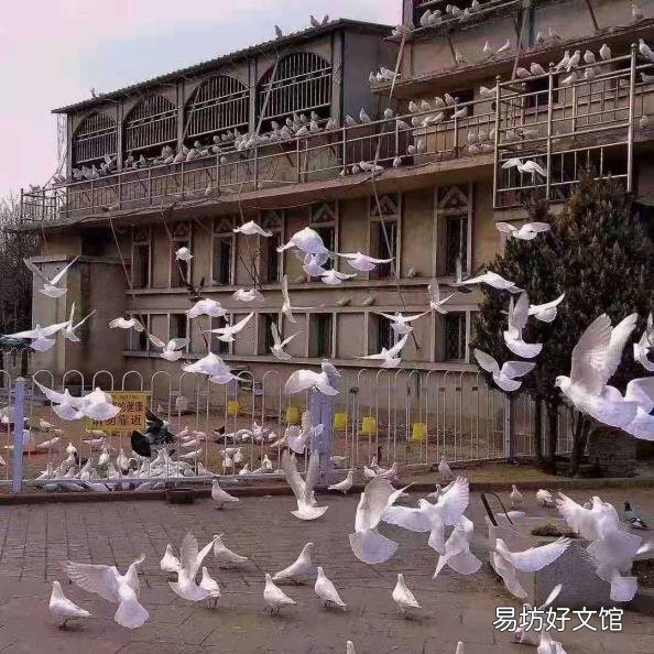 对老公心寒绝望的句子 如人饮水 冷暖自知