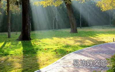 今年四伏天从什么时候开始 为什么今年有四伏2022