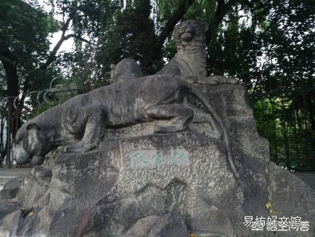 同样作为宋江的小弟，没头脑的李逵为何从来不敢在武松面前放肆？