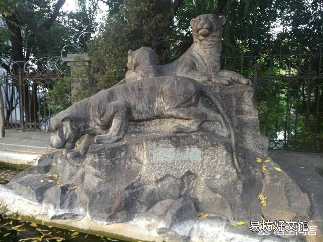 同样作为宋江的小弟，没头脑的李逵为何从来不敢在武松面前放肆？