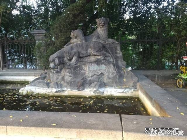 同样作为宋江的小弟，没头脑的李逵为何从来不敢在武松面前放肆？