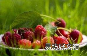 东北水果有哪些水果图片 东北水果