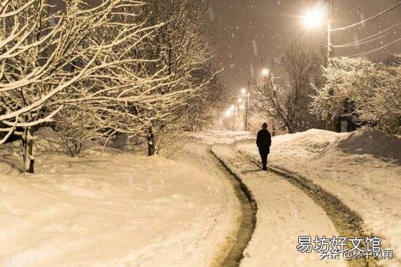 逢雪宿芙蓉山主人 芙蓉山主人