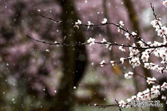 逢雪宿芙蓉山主人 芙蓉山主人