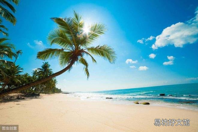 歌唱大海的歌曲大全 大海 歌词