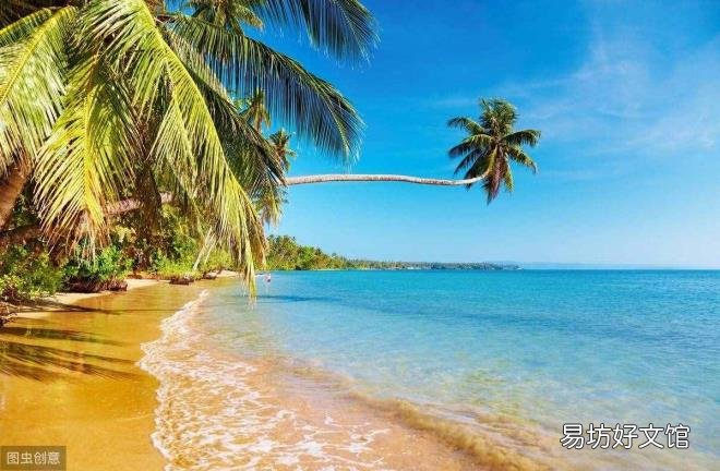 歌唱大海的歌曲大全 大海 歌词