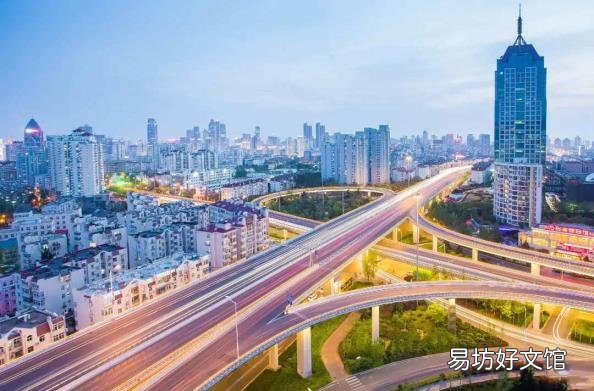 standard是什么版本 standard是什么意思