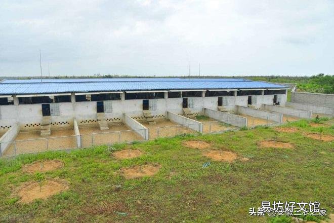 养殖业什么最稳 养羊赚钱吗