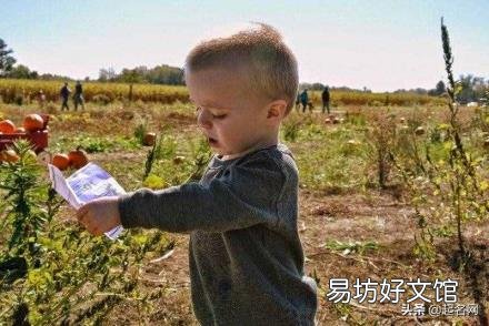 昱字取名男孩有寓意 昱字怎么读
